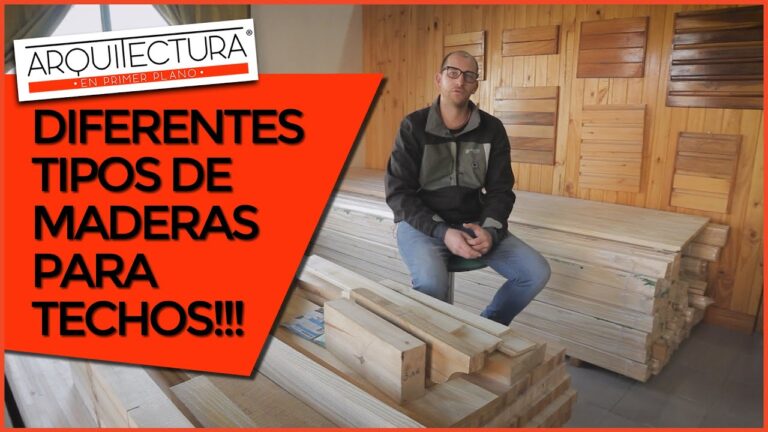 Caracter&iacute;sticas &oacute;ptimas de tejas de madera para techos