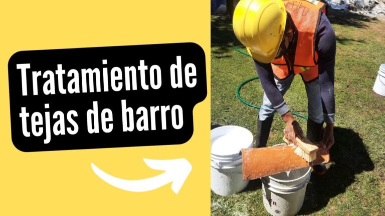 Mantenimiento Efectivo para Tejas de Chapa