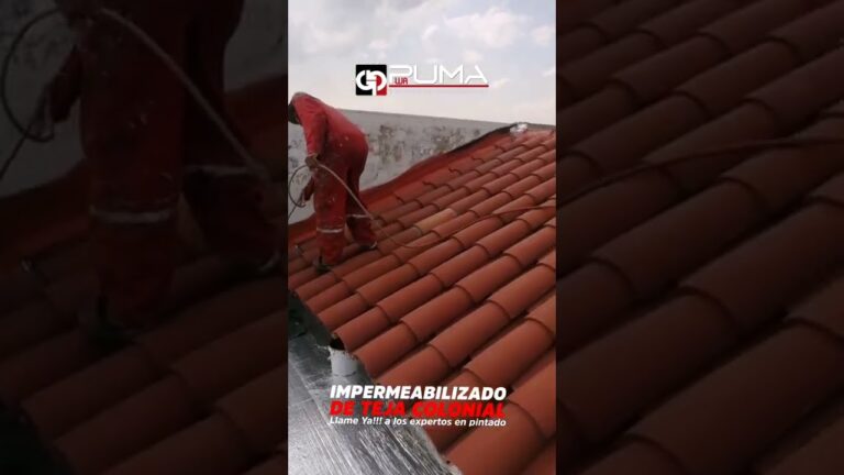 Teja para Fachadas: La Solución Ideal para Impermeabilizar